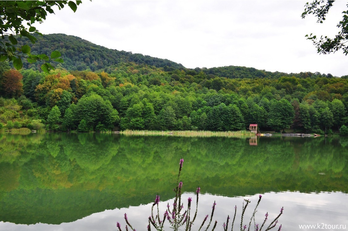 Калиновое озеро и чайные плантации в Сочи (Хостинский район)